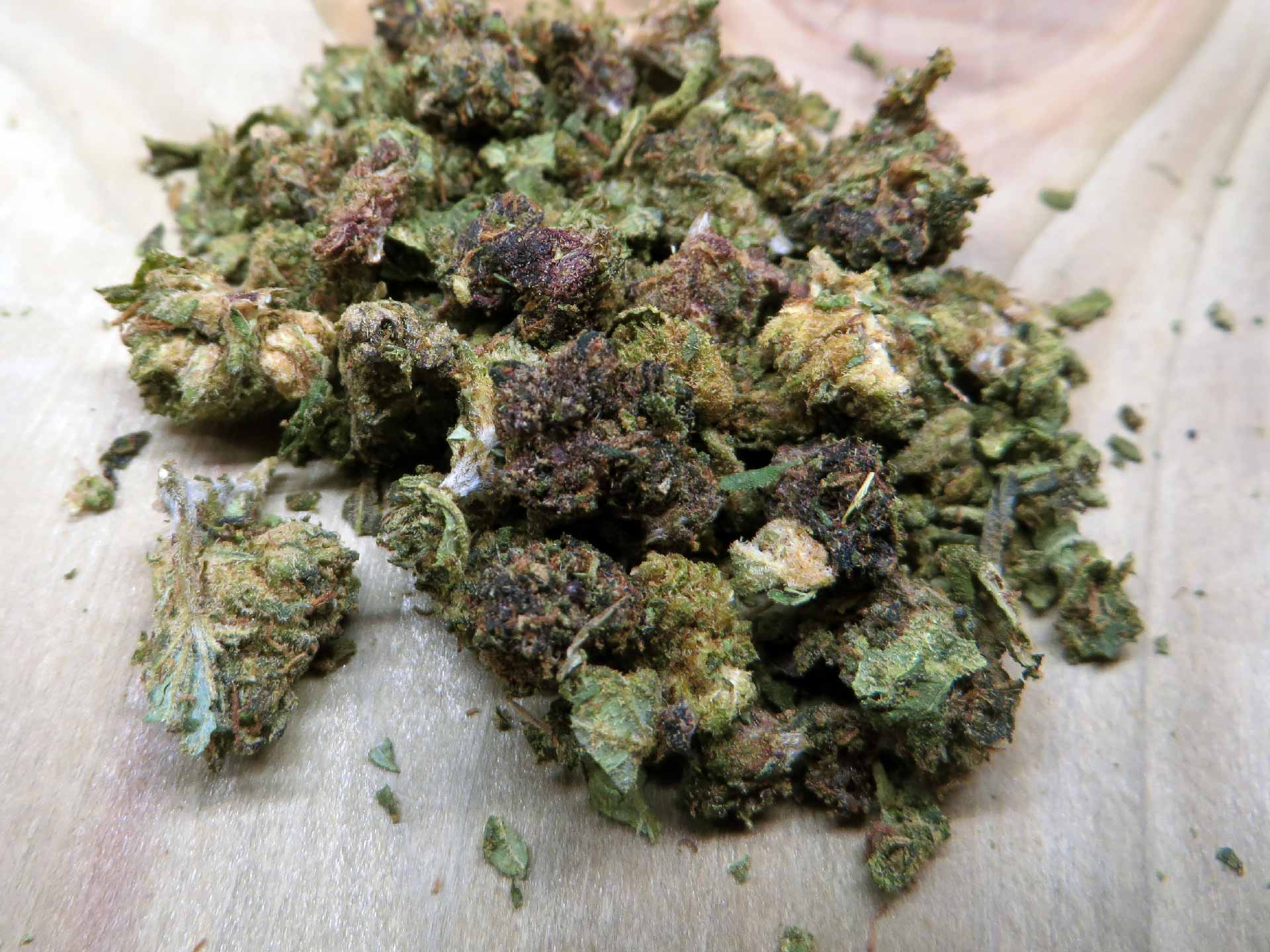 Trim Critical (5 % THCX)