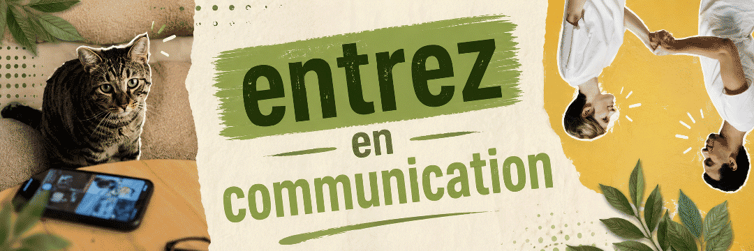 contact